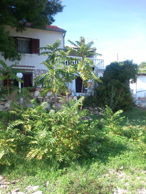 Apartments Elena & Damir วิส ห้อง รูปภาพ