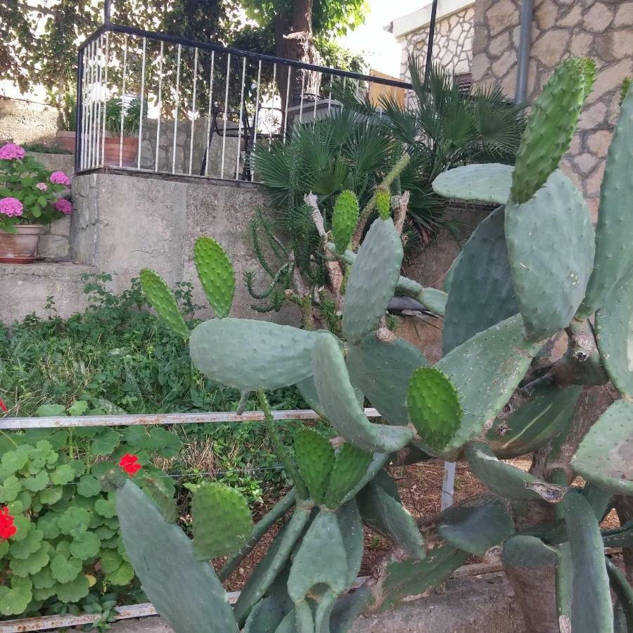 Apartments Elena & Damir วิส ภายนอก รูปภาพ